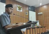 Tambang Ilegal Poboya