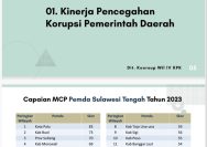 MCP Palu