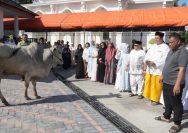 Sholat Idul Adha