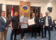 Ahmad Ali Partai Nasdem