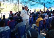 Ahmad Ali Pilkada Sulteng