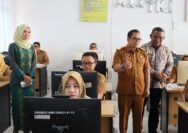 BKD Sulteng Sistem Merit