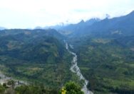 Wilayah Adat Tau Taa