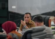 Industri nikel Parigi Moutong