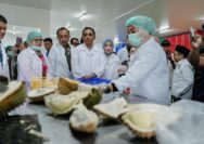 Packing House Durian Parigi