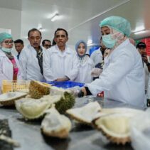 Packing House Durian Parigi