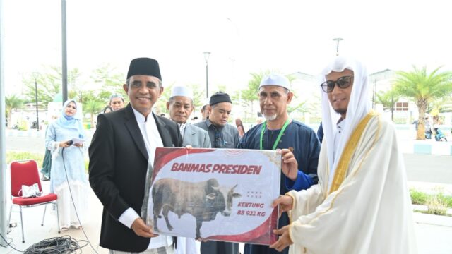 Anwar Hafid hewan kurban