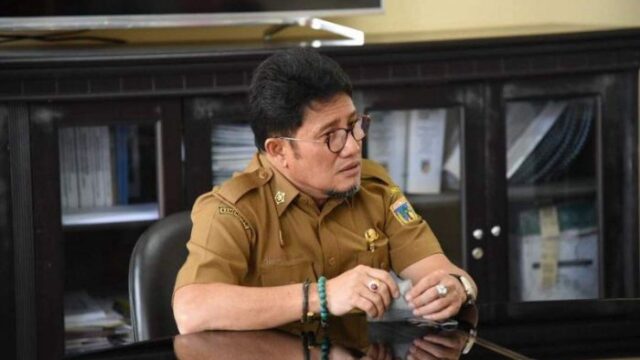 Herry Mulyadi Undata