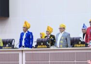 Anwar Hafid Sulteng berani