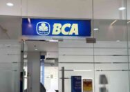 Dividen BBCA