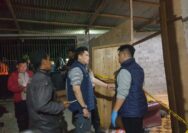 Kasus Kriminal Palu