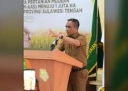 Tragedi Duyu Palu