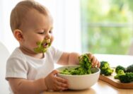 makanan tinggi serat bayi 1 tahun