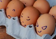 telur untuk batita