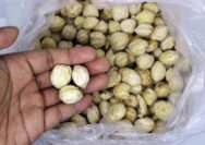 bumbu dapur yang diremehkan