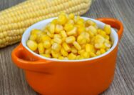 nutrisi jagung