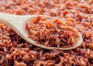 manfaat beras merah setiap hari
