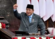 tambang ilegal Bangka Belitung