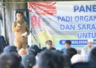 Walatana model pertanian Sulteng