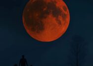 Harvest Moon 2026