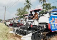 Modernisasi Pertanian Sulteng