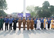 promosi PNS